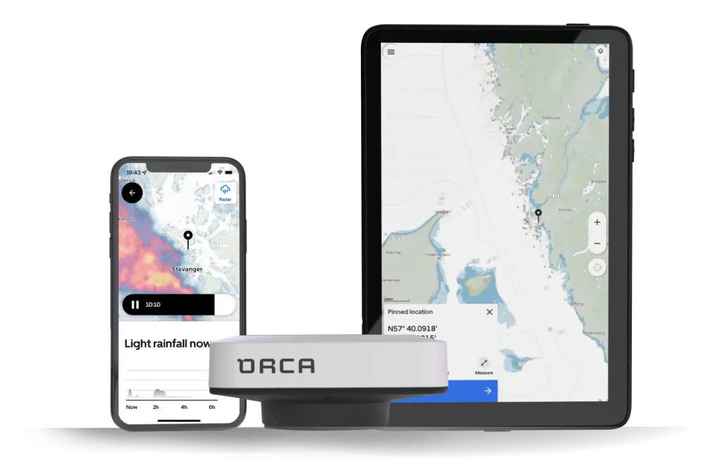orca